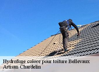 Hydrofuge colore pour toiture  bellevaux-74470 Artisan Chardelin