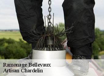 Ramonage  bellevaux-74470 Artisan Chardelin