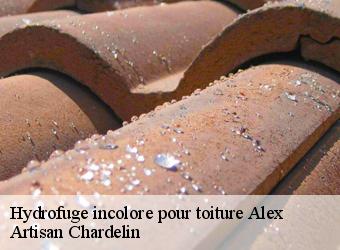 Hydrofuge incolore pour toiture  alex-74290 Artisan Chardelin