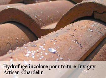 Hydrofuge incolore pour toiture  juvigny-74100 Artisan Chardelin