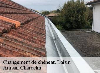 Changement de chéneau  loisin-74140 Artisan Chardelin